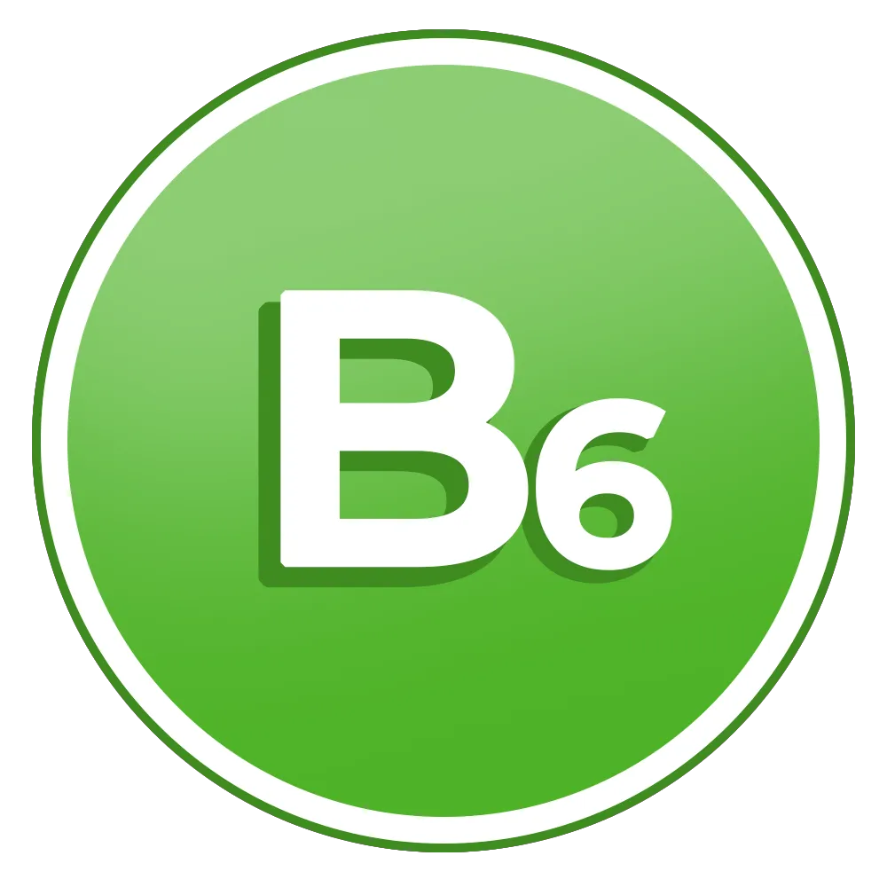 Icon B6