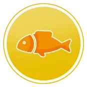 Icon Omega 3 & 6