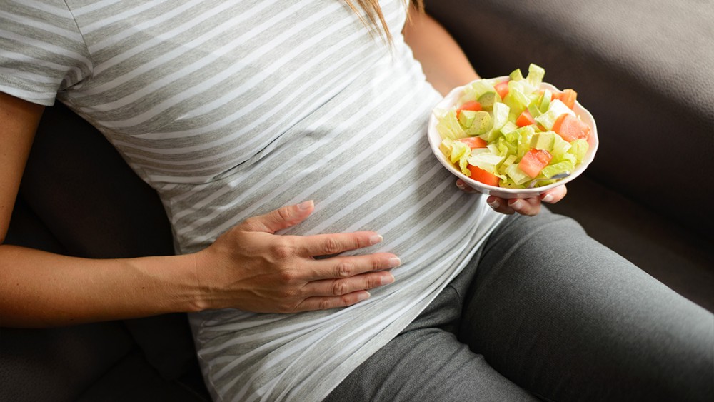 Panduan Konsumsi Makanan Lebaran bagi Ibu Hamil