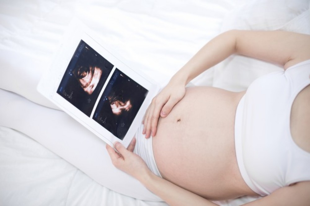 Perkembangan Janin Trimester Pertama Perkembangan Janin Trimester Pertama