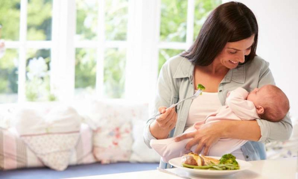 Makanan Penuh Gizi Untuk Ibu Menyusui Makanan Penuh Gizi Untuk Ibu Menyusui