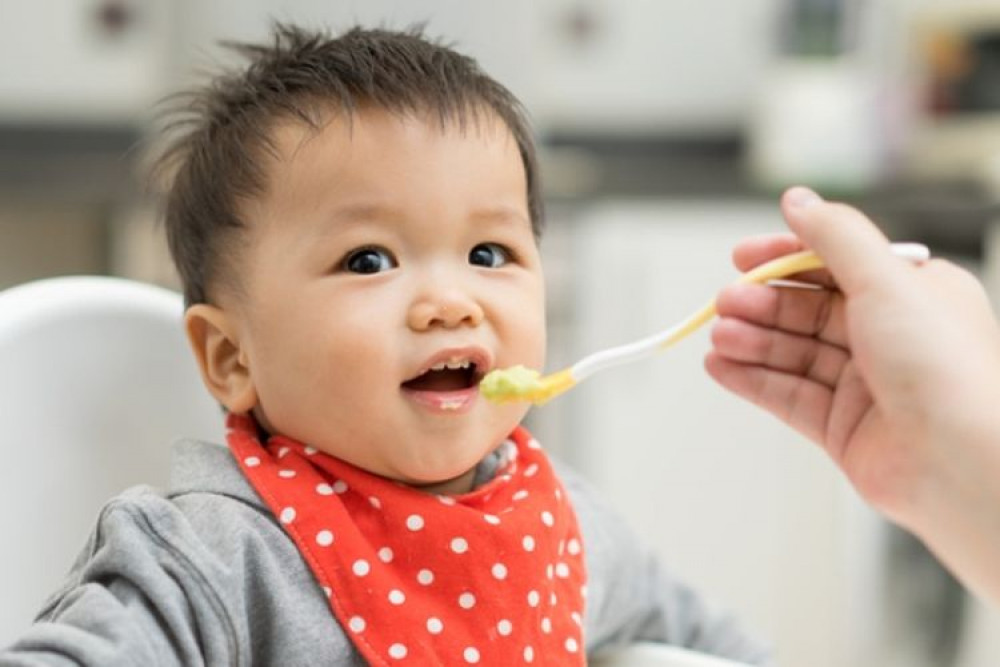 15 Ragam Protein Nabati untuk Mpasi Bayi yang Dapat Dipilih