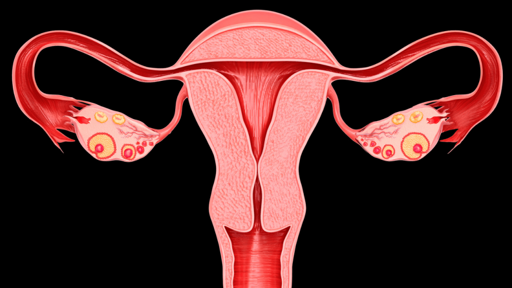 Bu Ini Lho Pentingnya Pengukuran Tinggi Fundus Uteri Saat Hamil