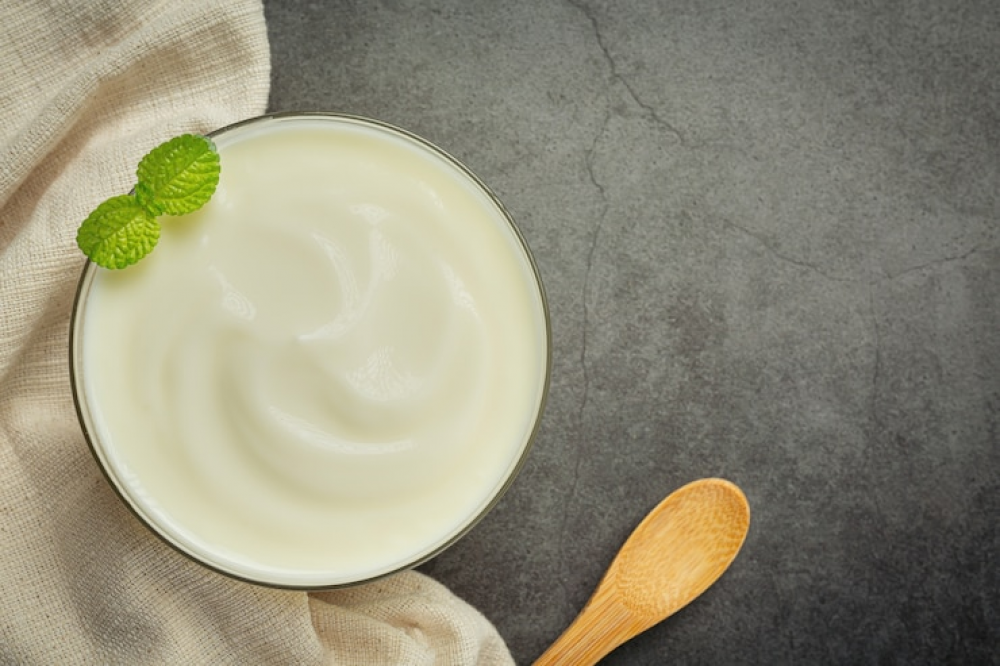 yoghurt sebagai sumber protein saat hamil