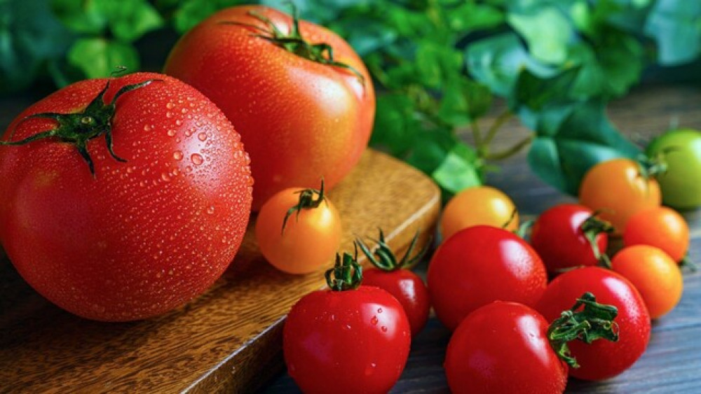 tomat untuk menghilangkan mual saat hamil