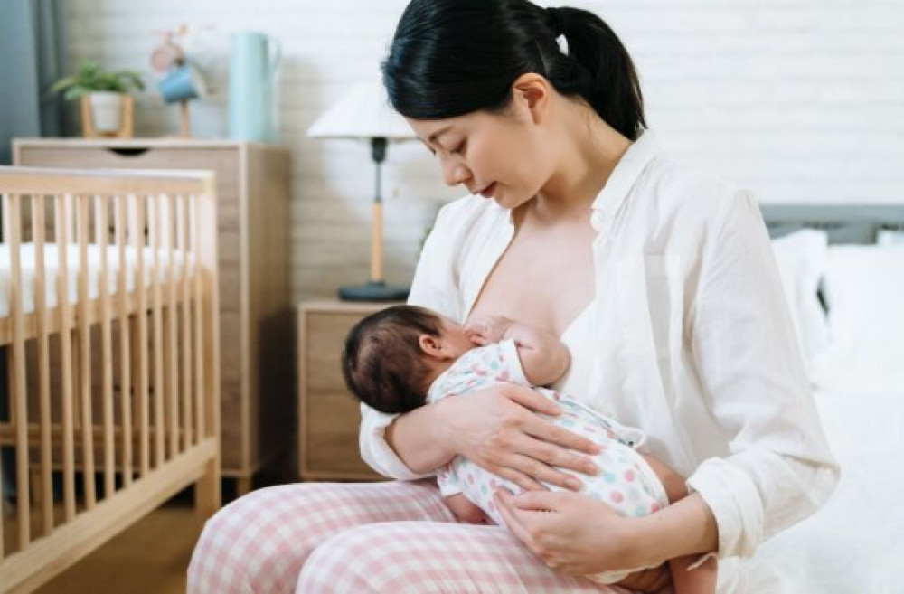 Perlengkapan Menyusui yang Harus Ibu Miliki Perlengkapan Menyusui yang Harus Ibu Miliki