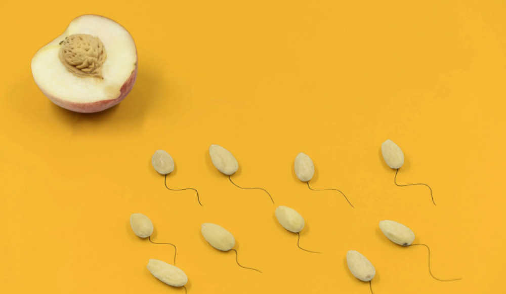 Cara Membedakan Sperma Subur dan Mandul