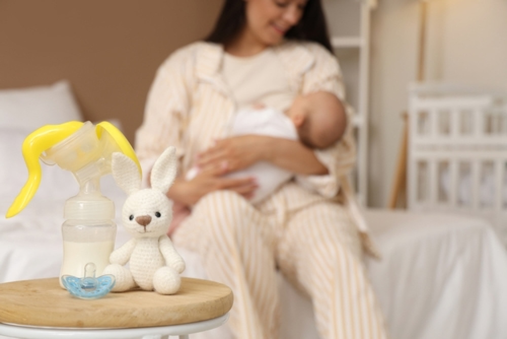 Sukses Memproduksi ASI Eksklusif selama Mudik Lebaran