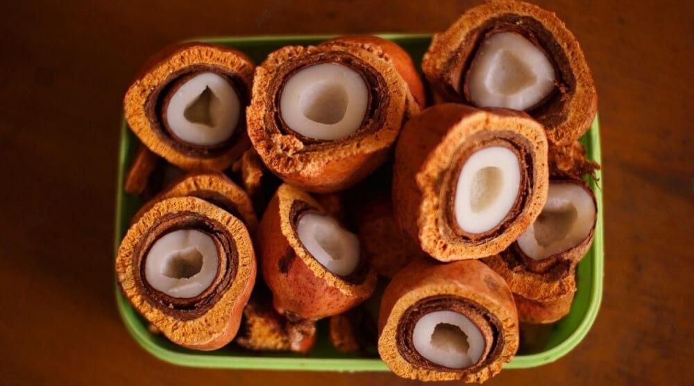 Benarkah Buah Zuriat Bikin Cepat Hamil?