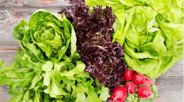 Manfaat Asam Folat untuk Ibu Hamil, Fungsi, dan Cara Memenuhinya