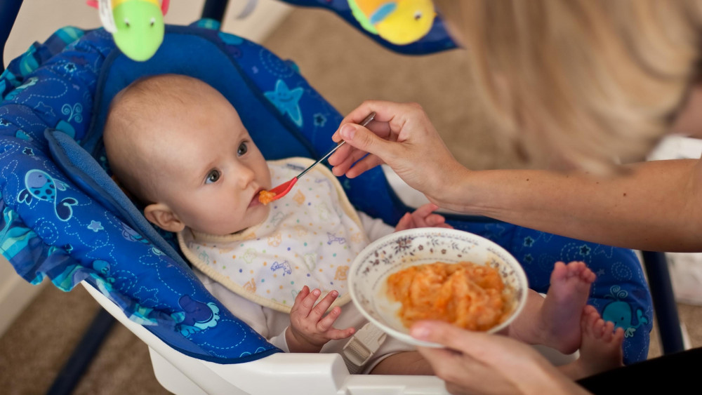 Fakta dan Resep Makanan Pure untuk Bayi Bunda