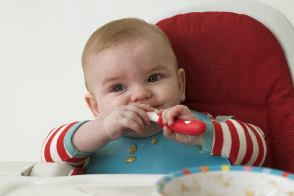 Panduan dan Jadwal Makan Bayi 6 Bulan  Menurut Dokter Anak