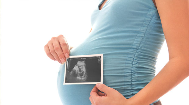 Perkembangan Bayi Dalam Kandungan 5 Bulan Prenagen